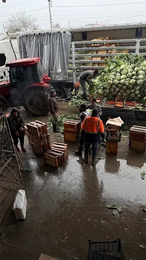 Halde yükleme çalışması