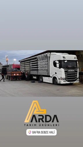 Bafra Sebze Hali'nde tır